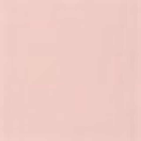 Eva Garden Nail Polish Long Lasting Nagellack
