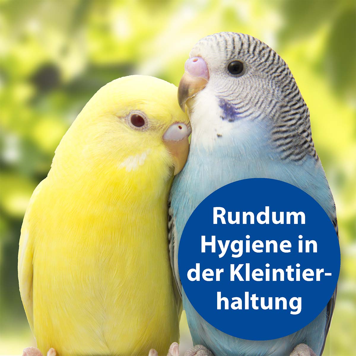 Bactazol Universalreiniger 500ml günstig kaufen