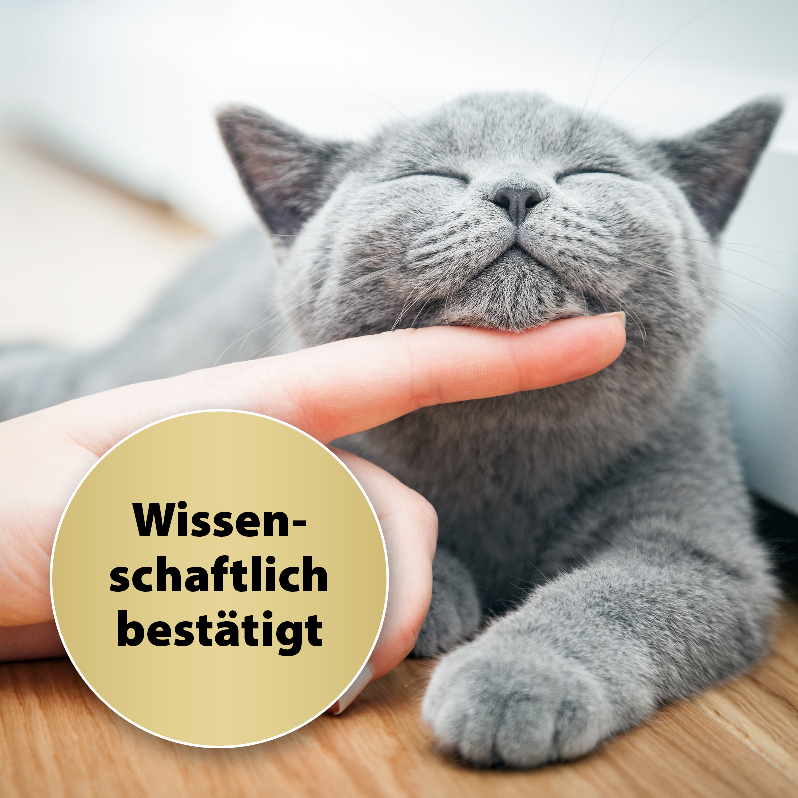 Felisept Beruhigungsmittel Felisept Home Comfort Beruhigungshalsband für Katzen