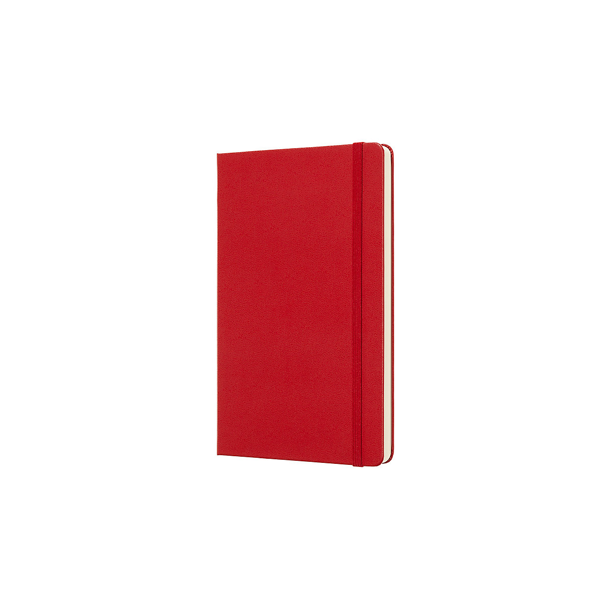 Notizbücher L/A5- Punktraster Notizbücher