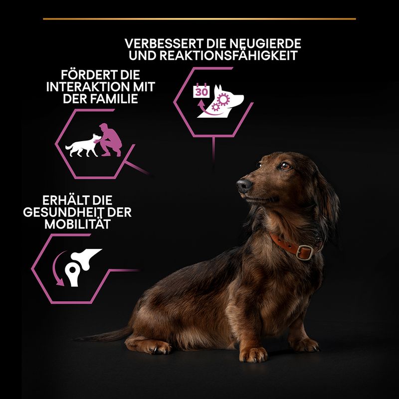 PURINA PRO PLAN Small & Mini Adult 9+ Age Defence