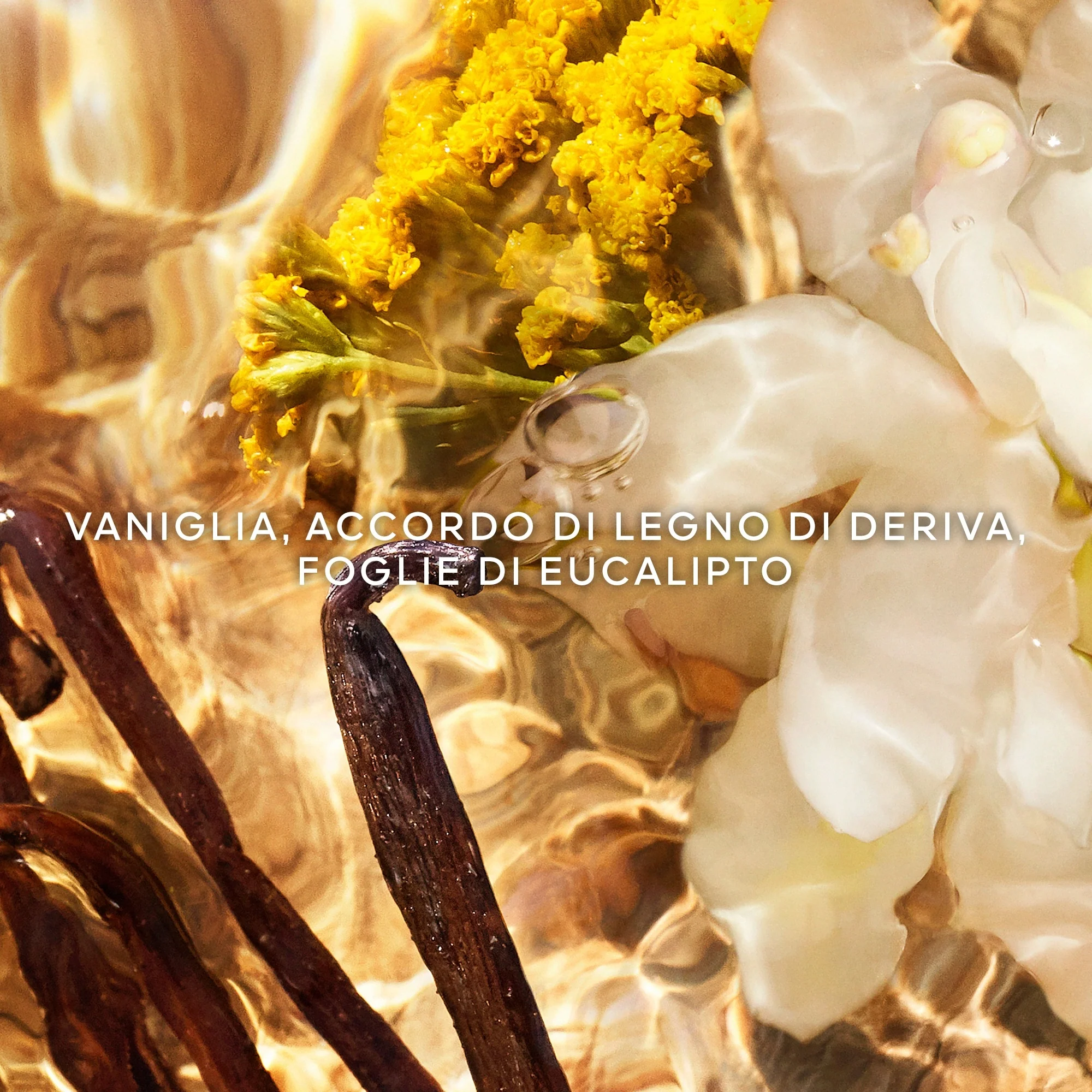 Aqua Allegoria Bosca Vanilla Forte - Eau de Parfum