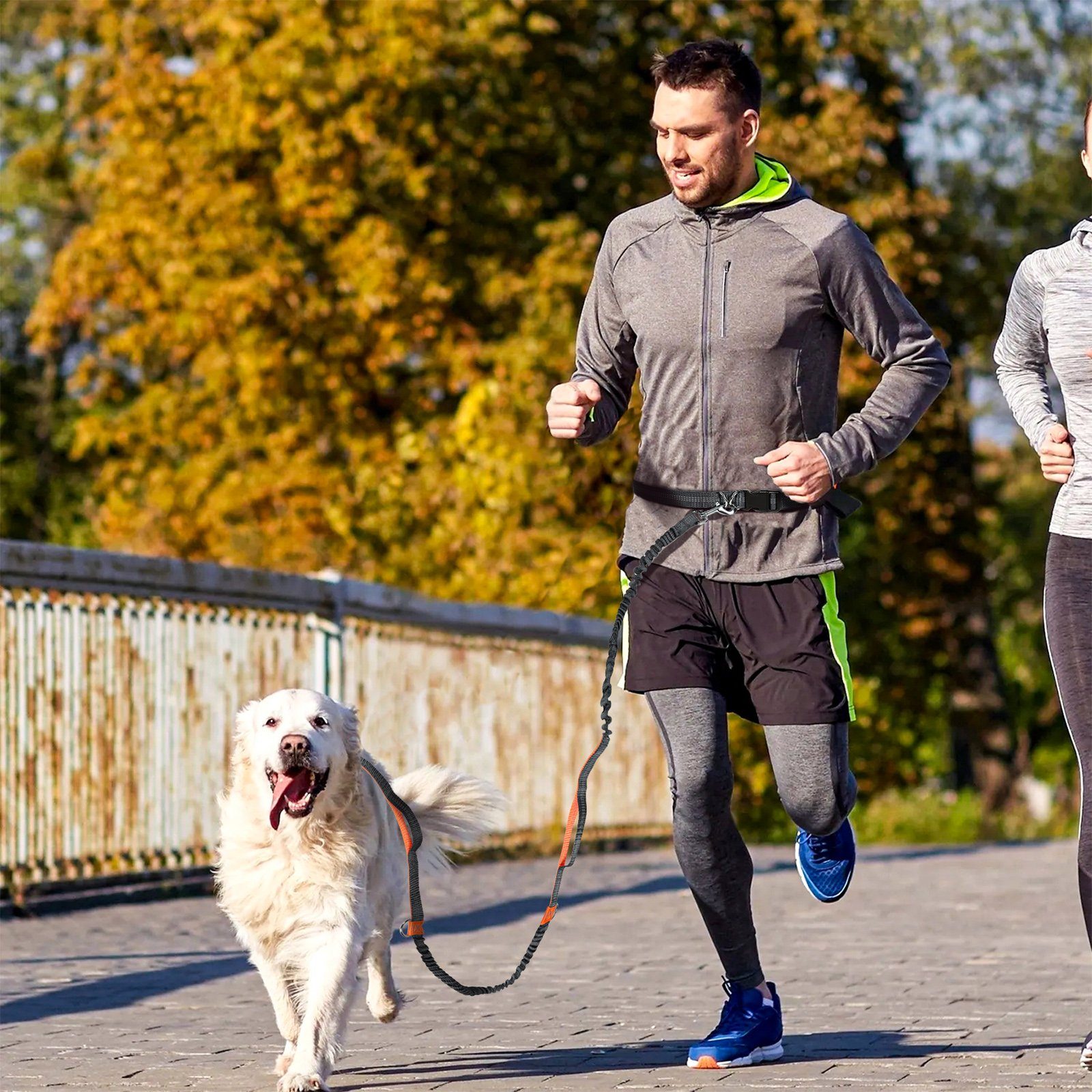 CALIYO Führleine Handfreie Hundeleine, Hundegürtel,Taillengürtel, Hundeleine, Koppler, Gürtel mit einziehbarem Bungee, reflektierende