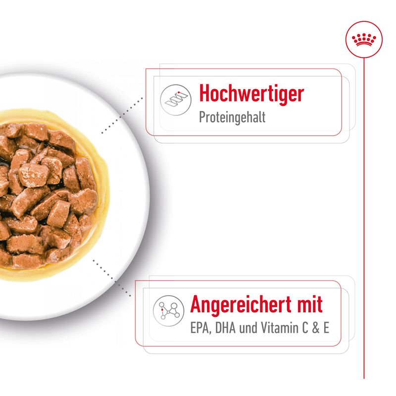 Royal Canin Medium Ageing in Soße