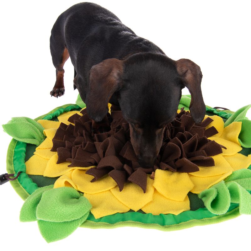 Schnüffelteppich Sunnyflower zu TOP-Preisen