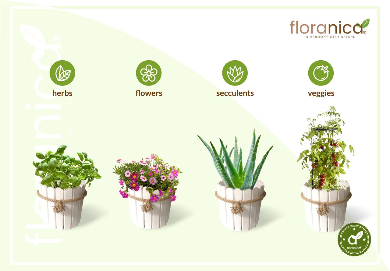 Pemicont Floranica Runder Blumentopf aus Holz 33x30cm Weiß Imprägniertes Kiefernholz Schutzhülle für Kräuter Blumen Haus- und Gartendekoration Truhe Für den Innen- und Außenbereich EU-Produkt