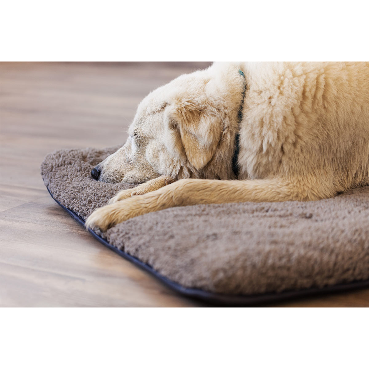 Petlando Hundekissen Chillermat cappuccino kaufen bei ZooRoyal