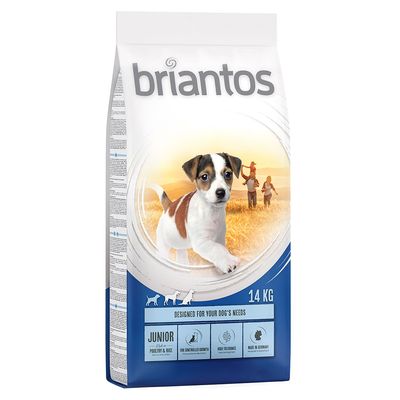 Briantos Sparpaket (2 x Großgebinde)