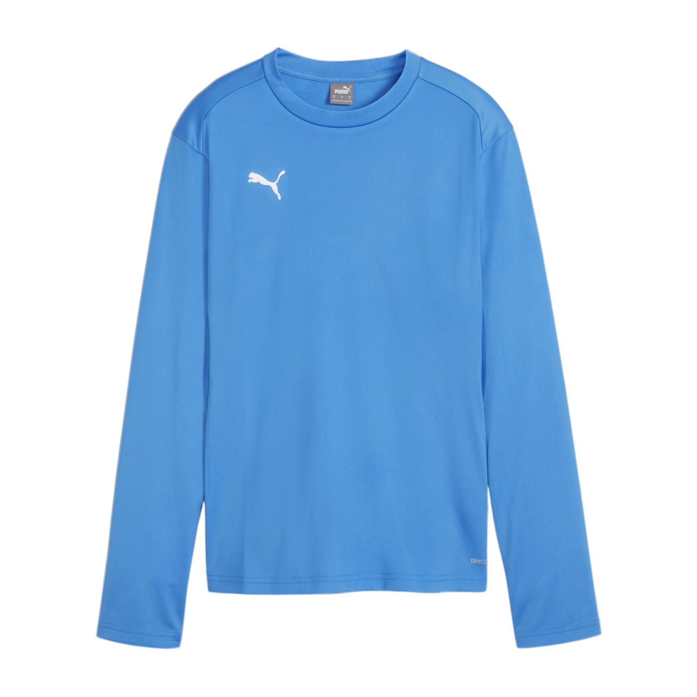 PUMA teamGOAL Training Sweatshirt Damen Blau F01
