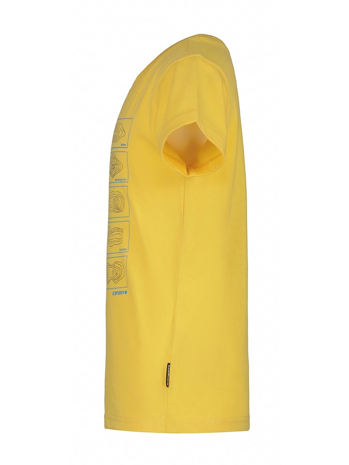 Icepeak Funktionsjacke 