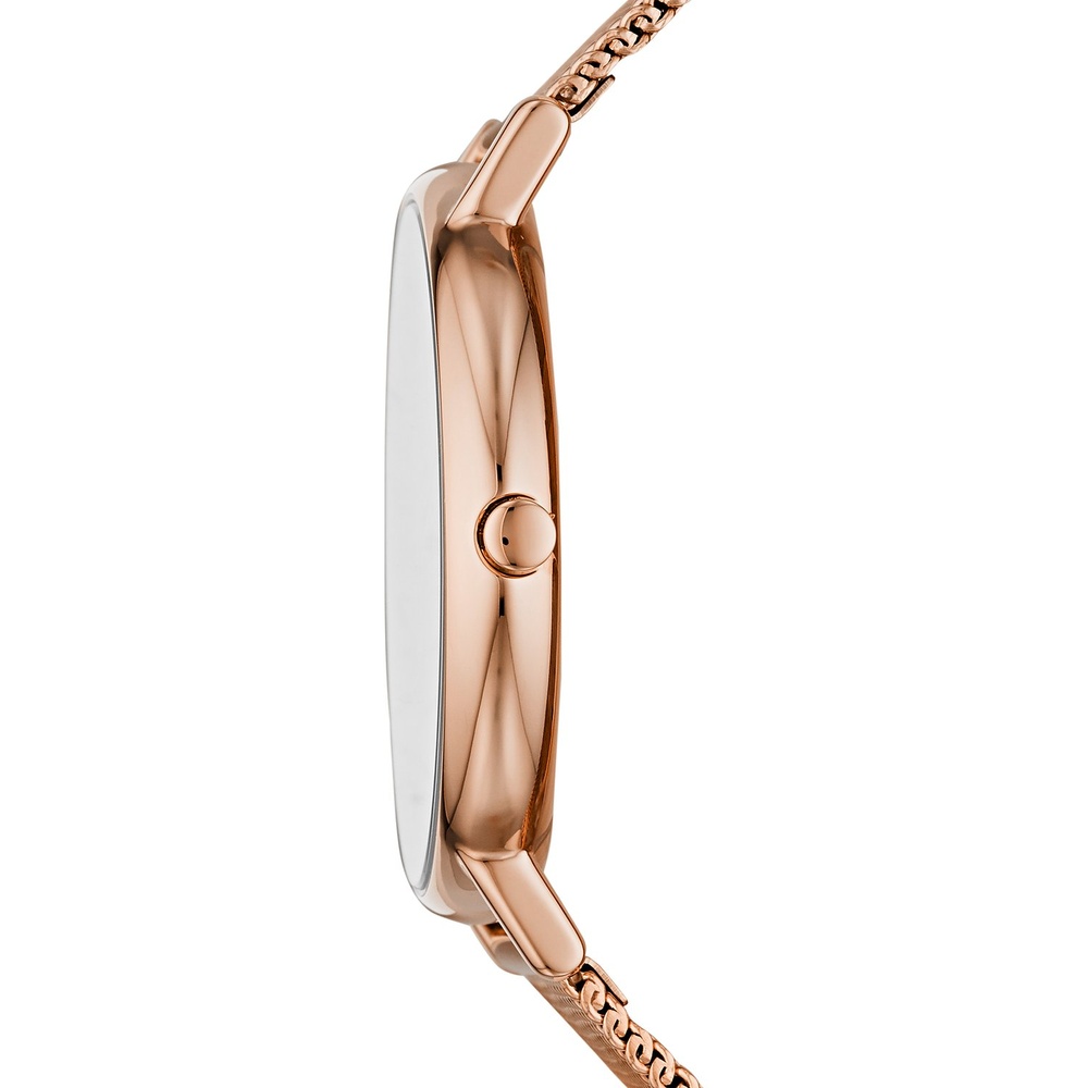 Skagen Montre pour femme Acier inoxydable Montre