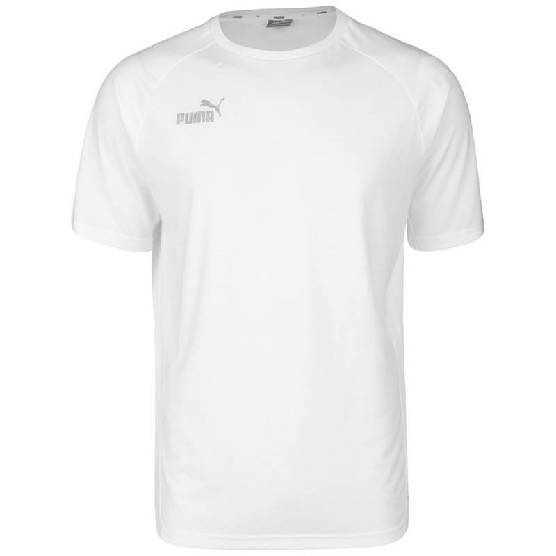 PUMA TeamFINAL Casuals Funktionsshirt Herren