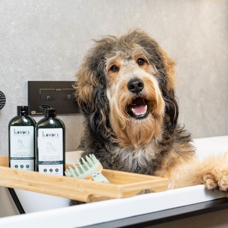 kooa Tiefenreinigungsshampoo zu TOP-Preisen