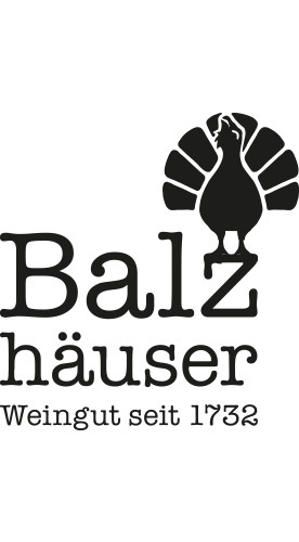 2020 Cabernet Sauvignon trocken - Weingut Balzhäuser