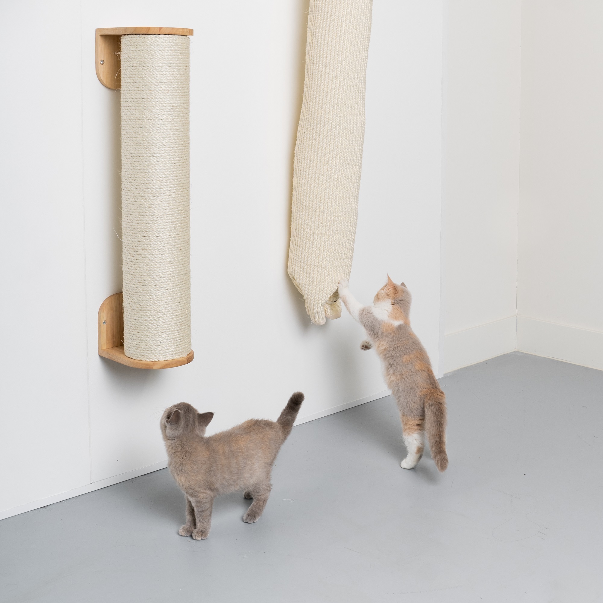 RHR Quality weiteres Katzenspielzeug RHR Quality RHRQuality Wandmöbel Klettersack creme/ beige
