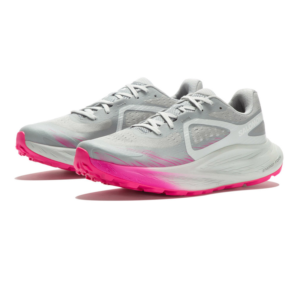 Salomon GLIDE MAX TR L47317600 / grau
