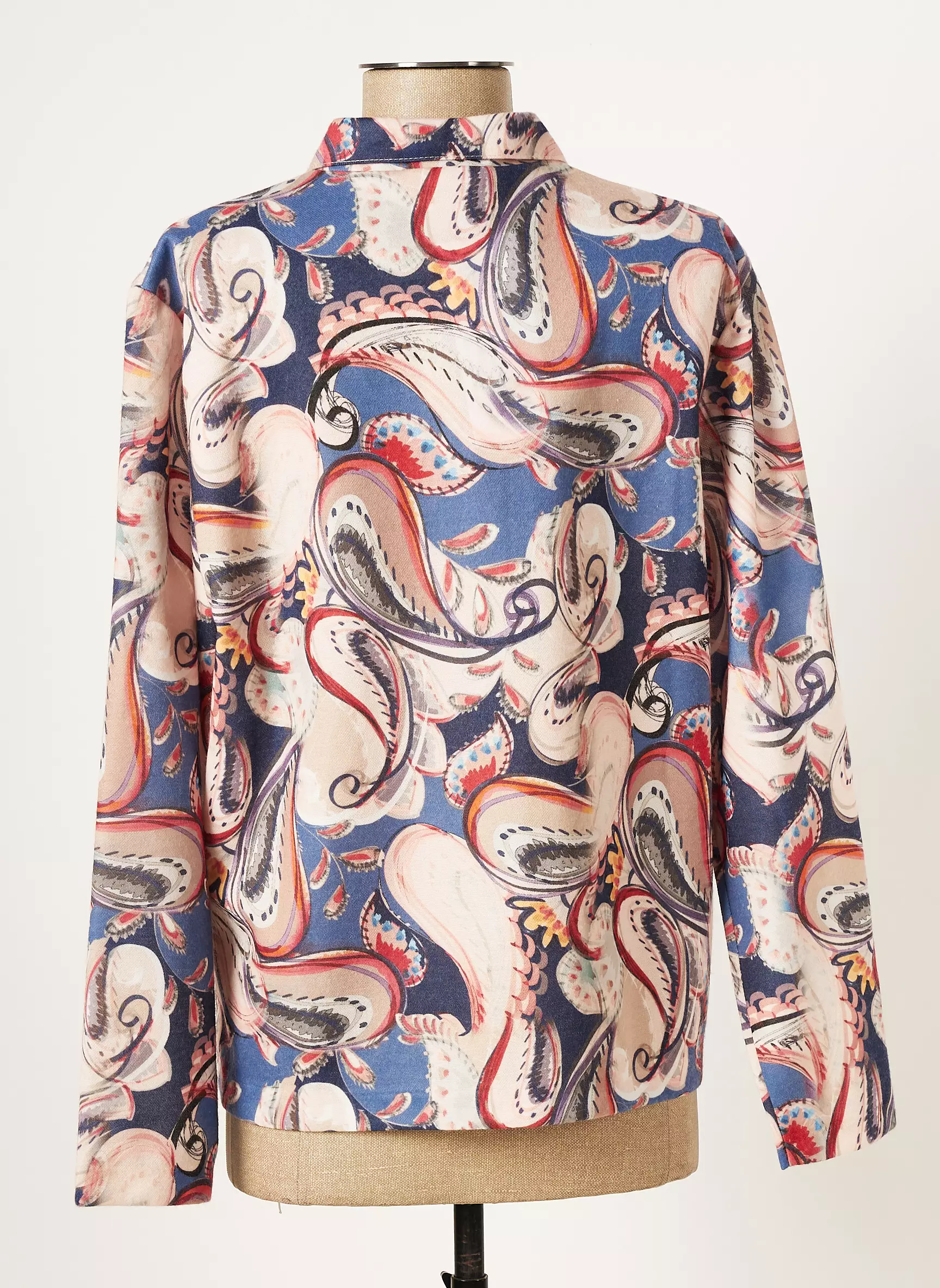 Griffon Chemisiers Femme couleur bleu