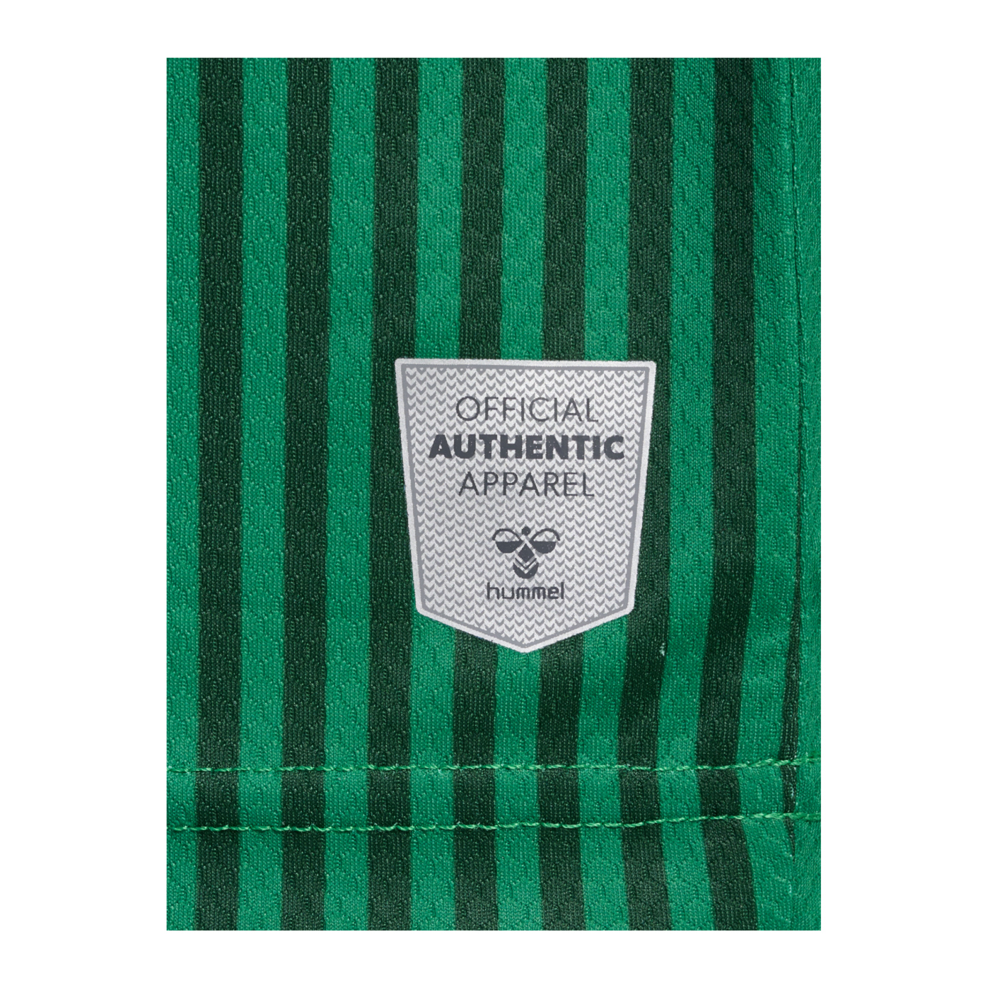 Hummel SV Werder Bremen Trikot Home 2023/2024 Grün F6170