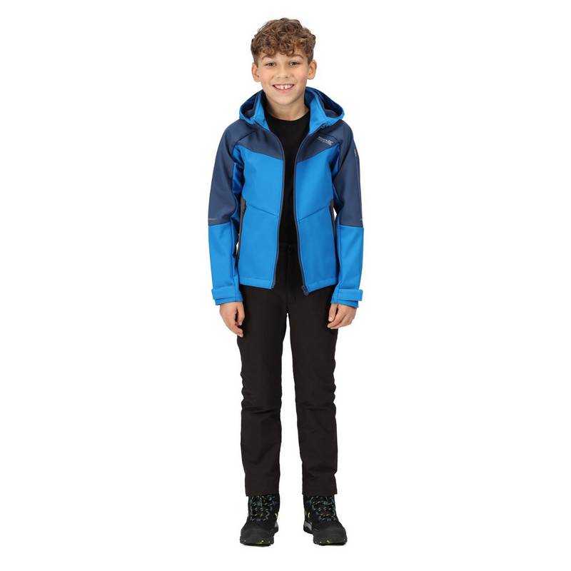 Regatta Eastcott II Softshelljacke Kinder