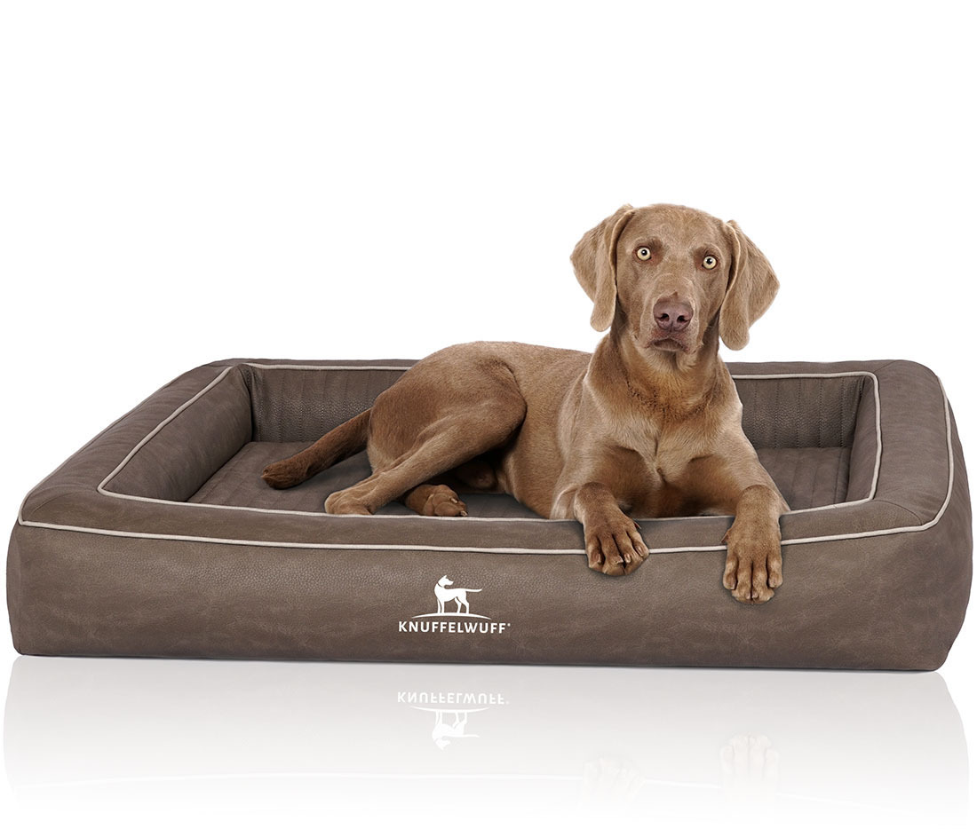 Knuffelwuff Hundebetten Knuffelwuff Orthopädisches Hundebett aus Laser gestepptem Kunstleder Montego braun/ grau M-L