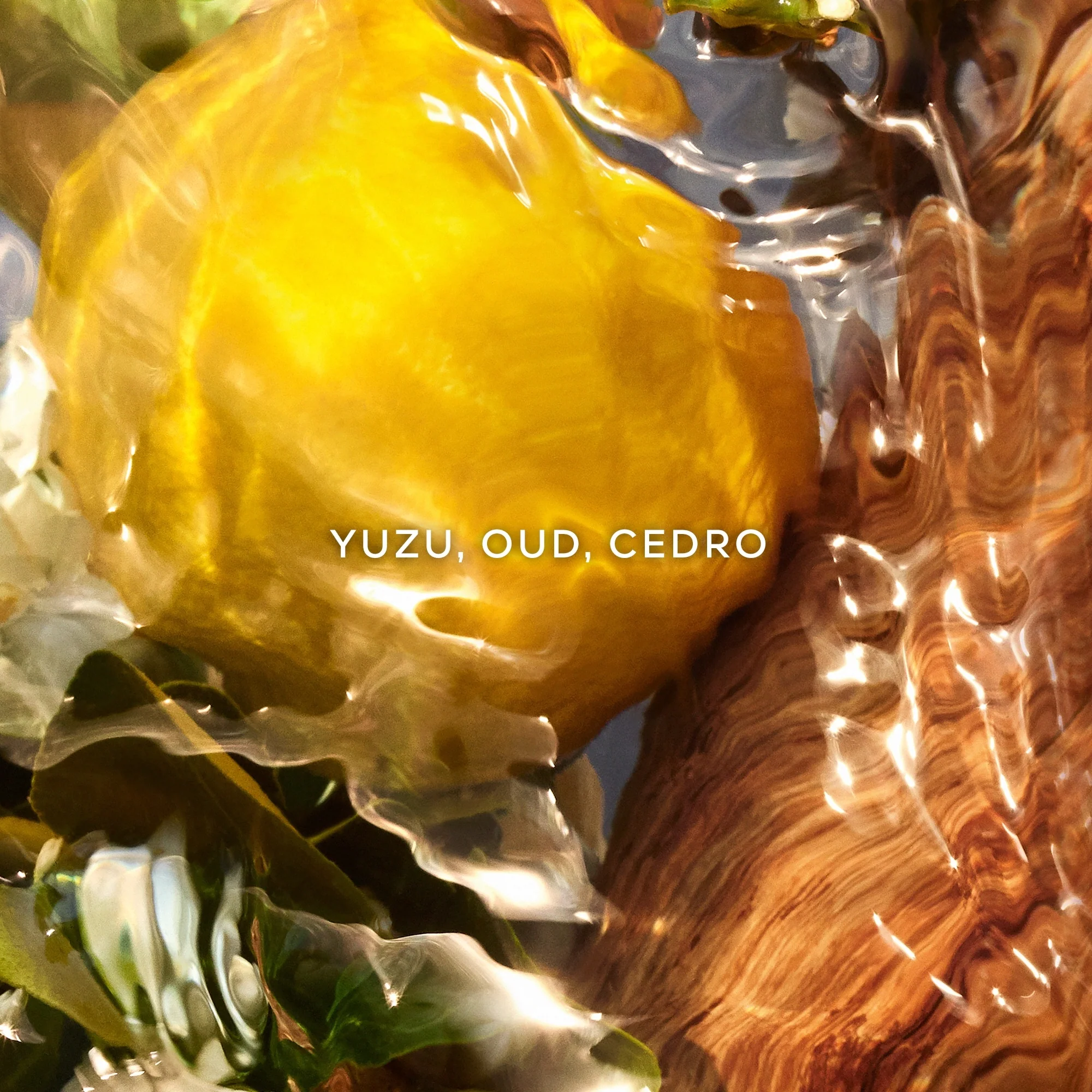 Parfumovaná voda Aqua Allegoria Oud Yuzu Forte