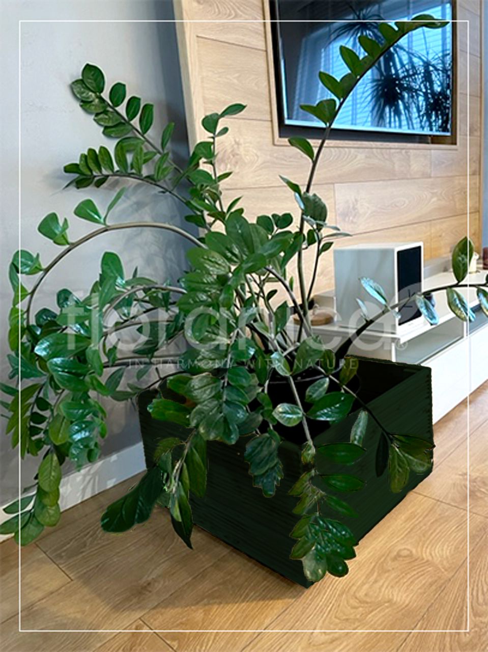 Pemicont Floranica Blumentopf aus Holz Kasten 4 Rollen 50cm x 535cm x 285cm Grün Imprägnierte Lärche Schutzhülle für Kräuter Blumen Haus- und Gartendekoration Innen- und Außeneinsatz