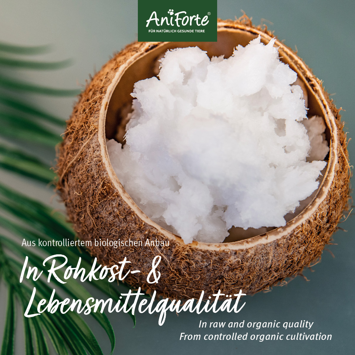 Aniforte Ergänzungsfutter & Aufzucht Aniforte Bio Kokosöl 400 ml