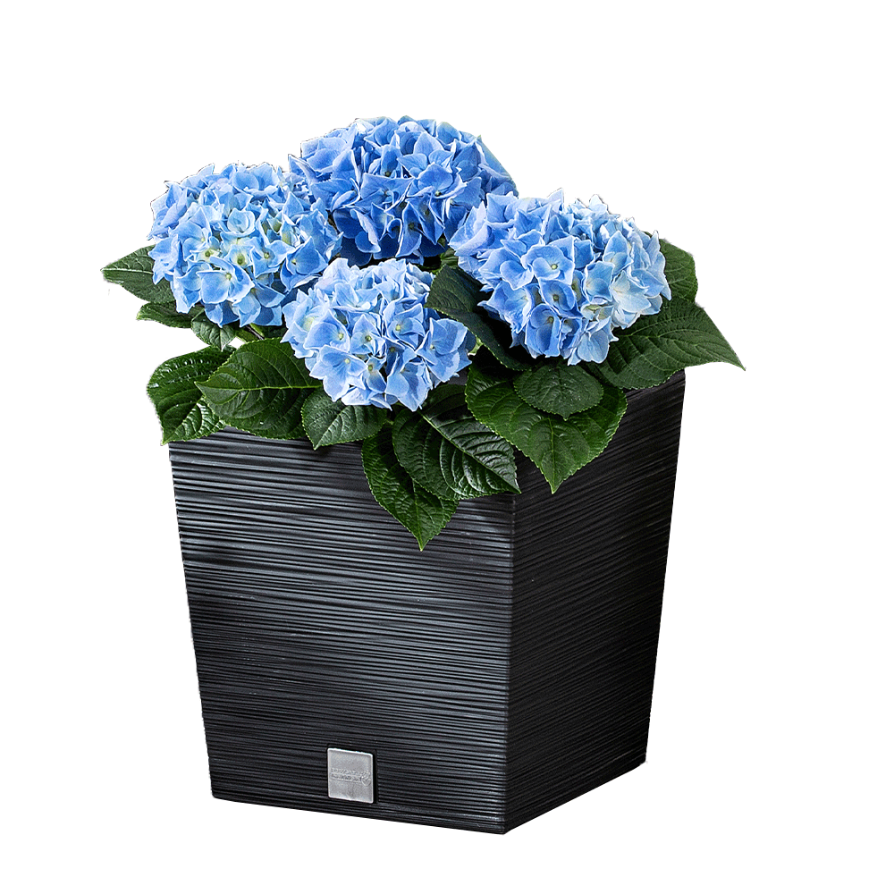 Protanic Powertec Garden Blumentopf 