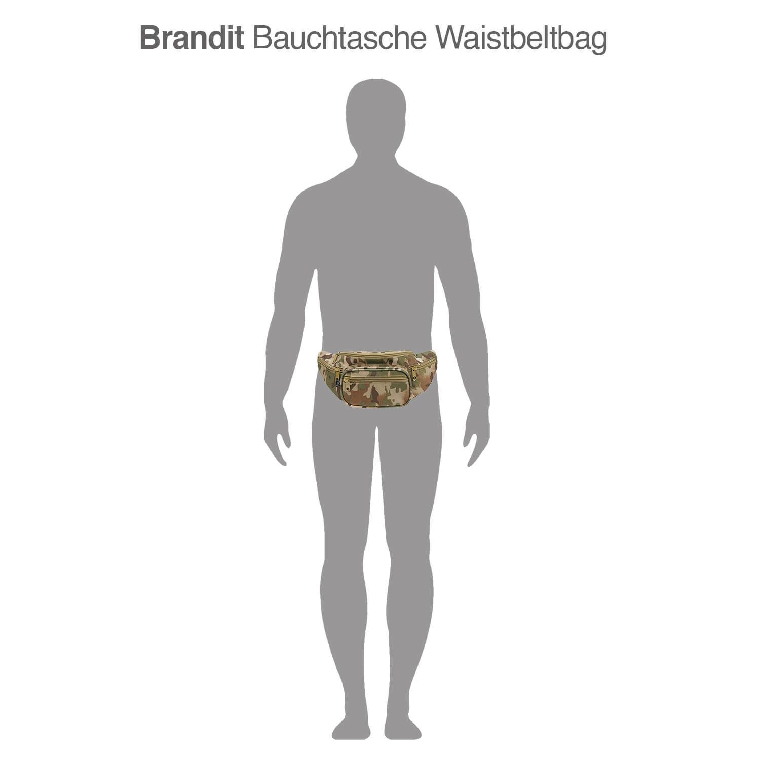 Bauchtasche Waistbeltbag