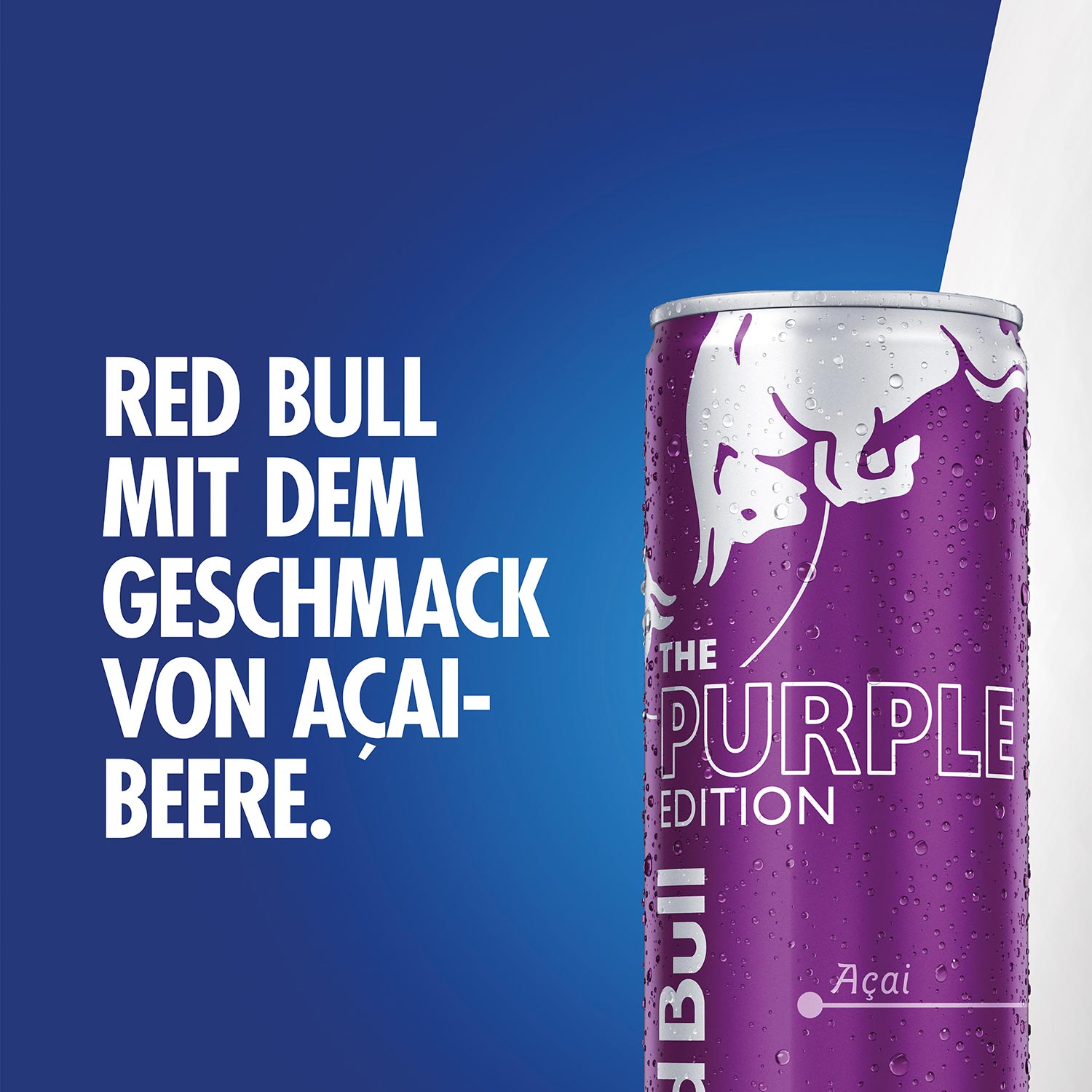 Red Bull The Purple Edition Açaí 250ml