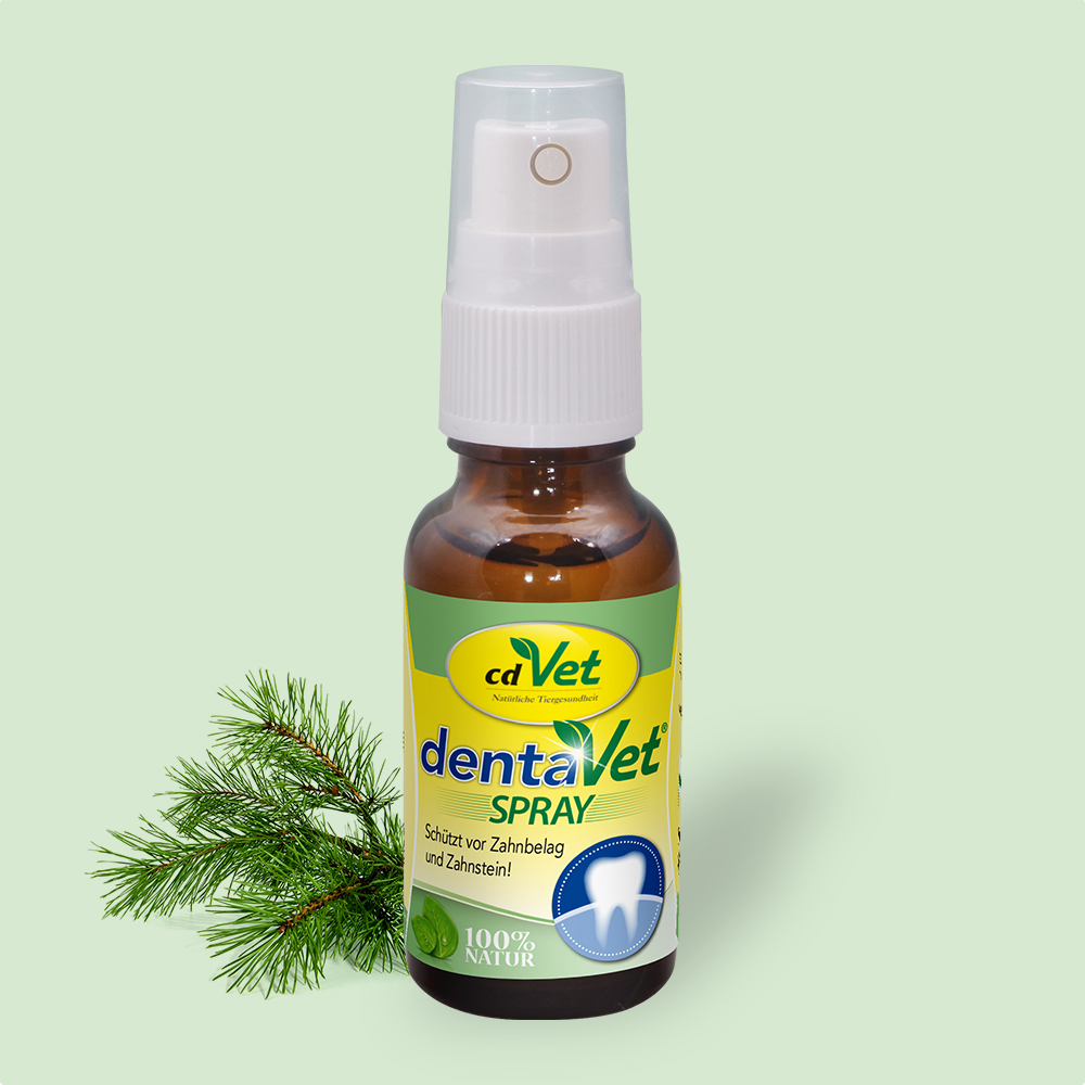 dentaVet Zahnpflege dentaVet Spray 50ml