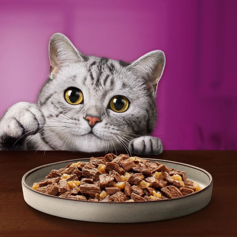 Jumbopack Whiskas Pure Delight Portionsbeutel 144 x 85 g | bitiba