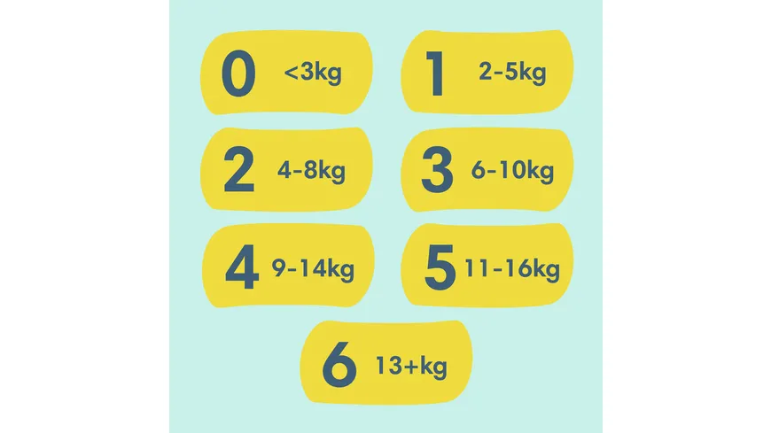 Pampers Premium Protection Windeln Gr. 1 2-5kg Monatsbox