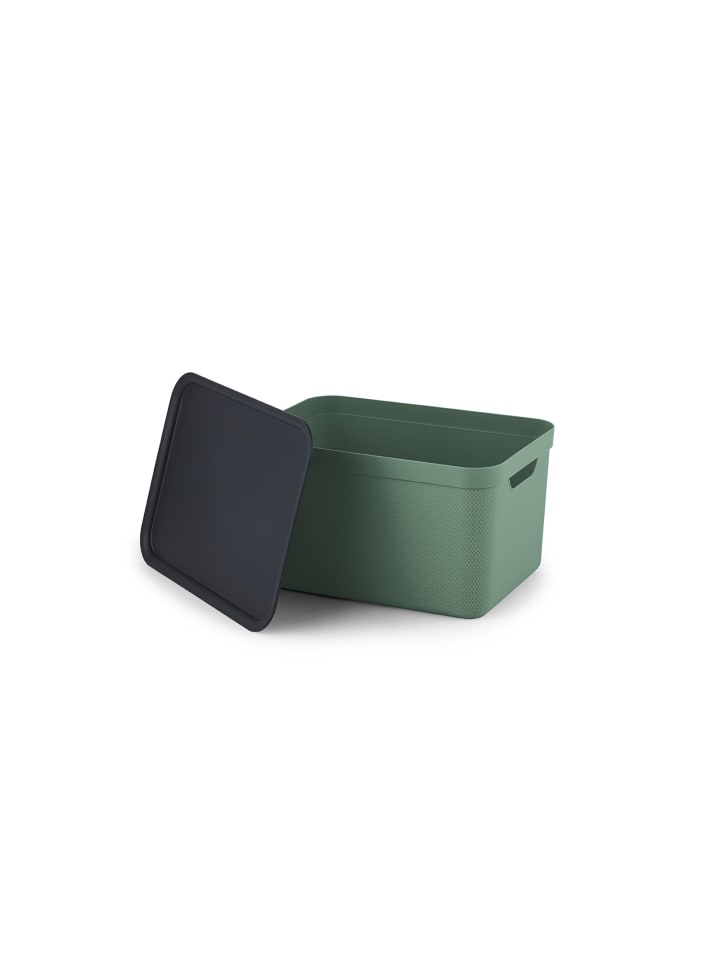 Rotho 3er- Set Aufbewahrungskorb 16l mit Deckel in Sea Spray green ged. günstig kaufen onesize