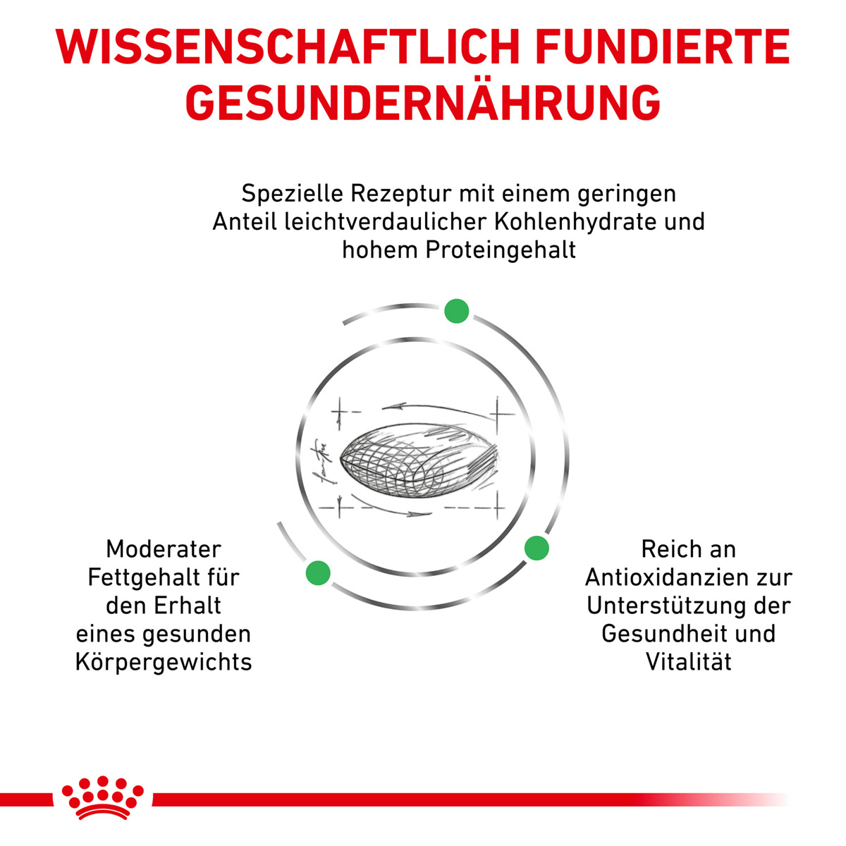 ROYAL CANIN Veterinary DIABETIC Trockenfutter für Katzen