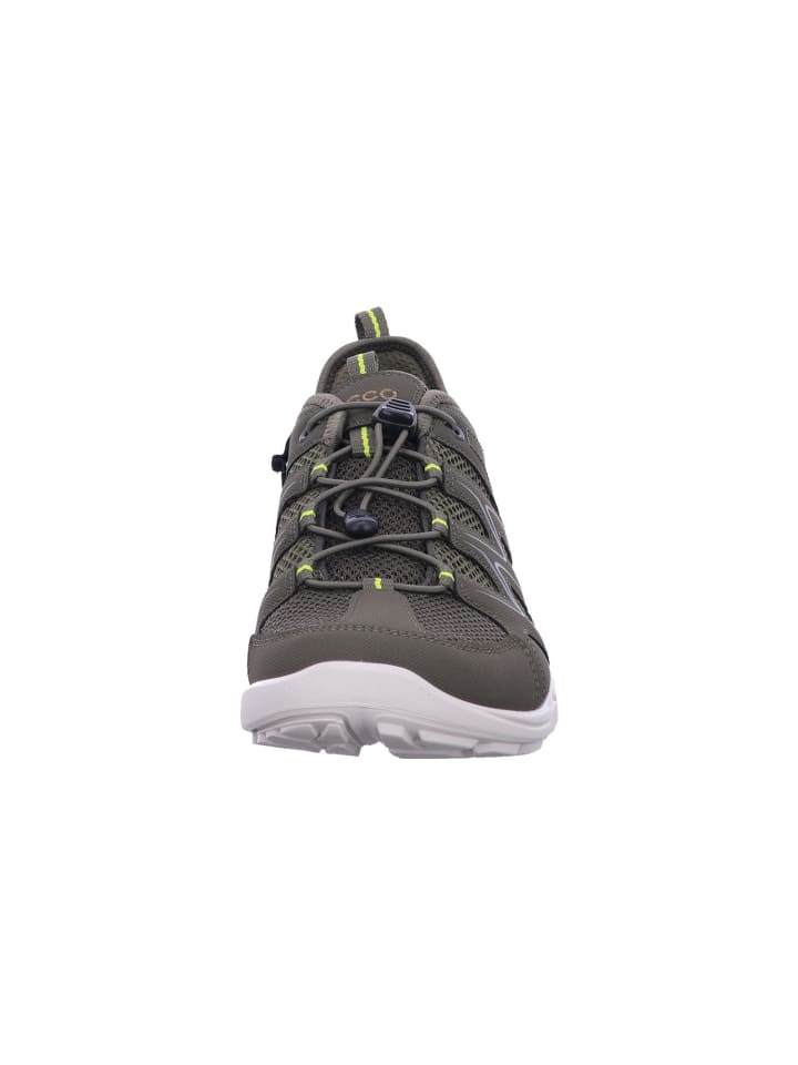 Ecco Herren Halbschuhe  in Grün günstig kaufen