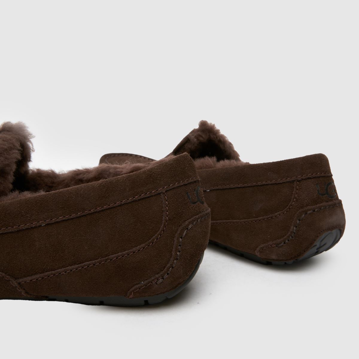 UGG Ascot-tofflor i kakaofärgad dammad