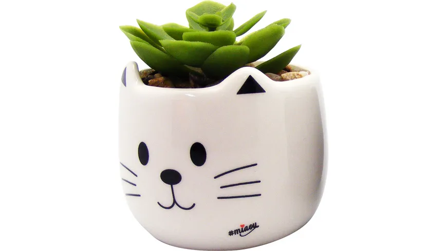 MIAOU Blumentopf Sukkulente weiss MIA20BC/W weiss