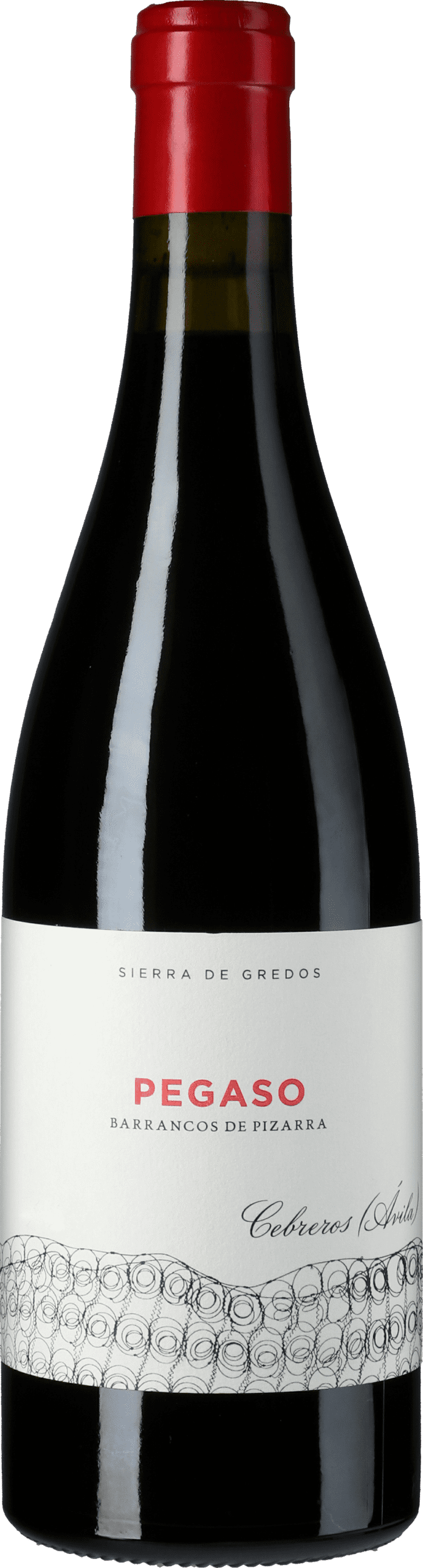 Pegaso Vinas Viejas - Telmo Rodriguez: Pizarra Sierra de Gredos Garnacha 2019