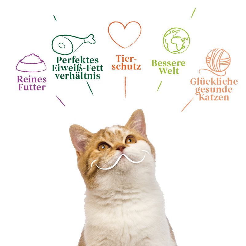 Yarrah Bio Chunks 6 x 100 g zu TOP-Preisen