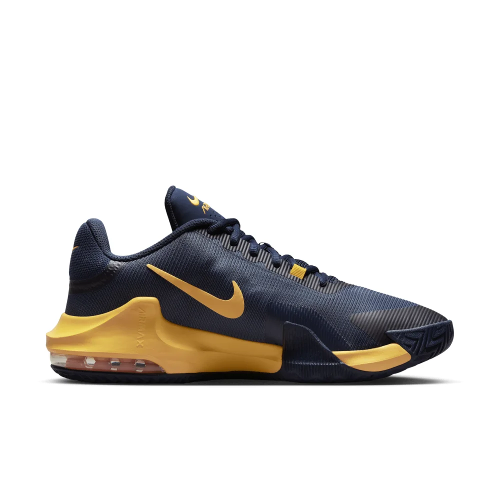 Nike Air Max Impact 4 DM1124-401 / blau