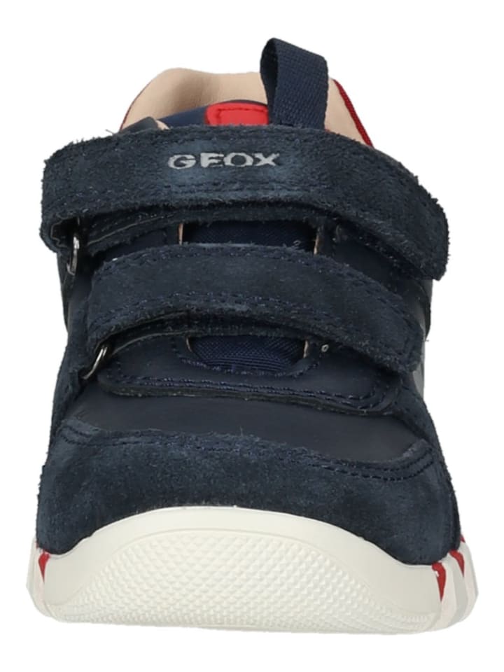 Geox Sneaker in Navy/Rot günstig kaufen