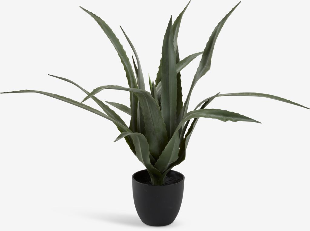 CELIUS Kunstpflanze CELIUS H65cm Aloe