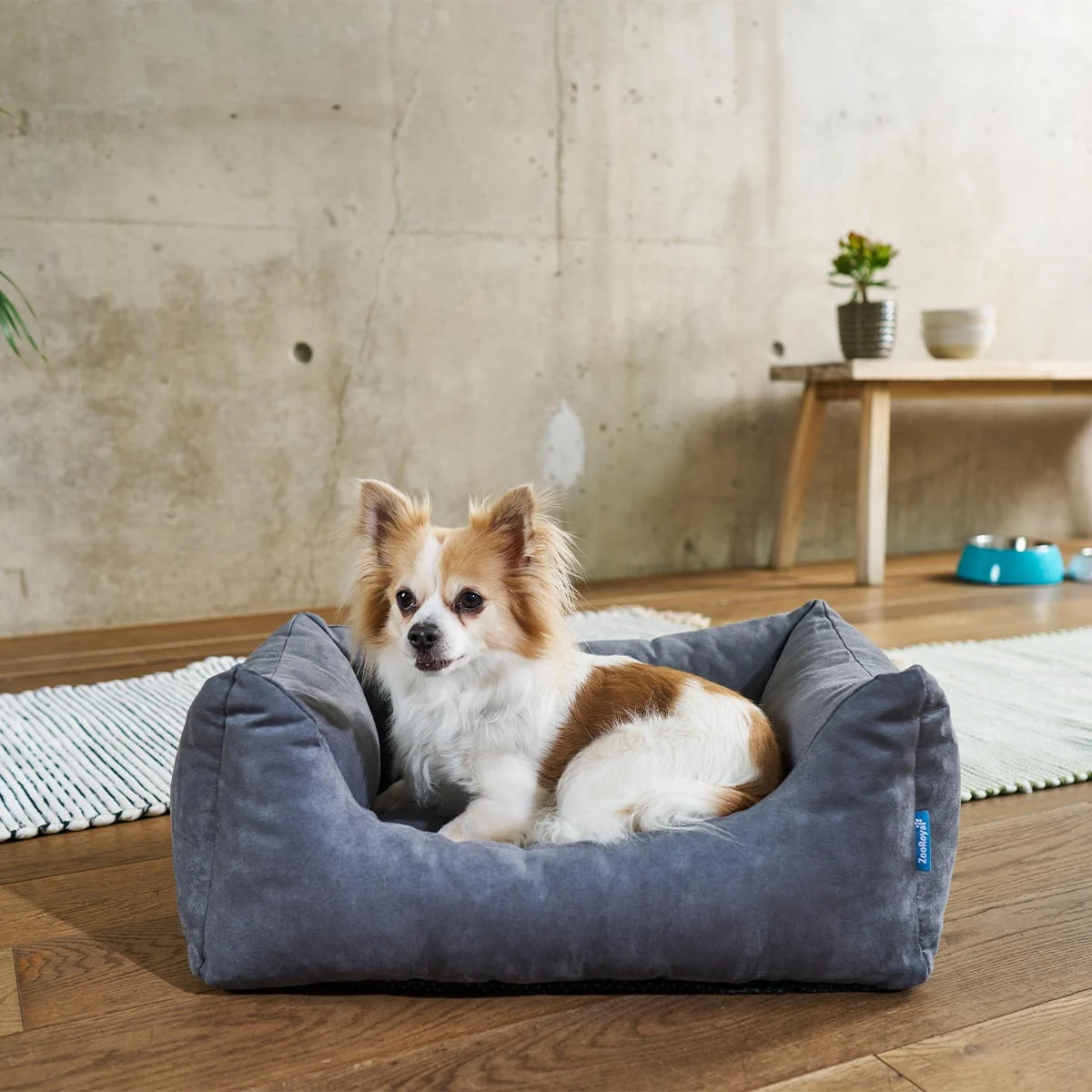 ZooRoyal Hundebett Dream anthrazit günstig kaufen