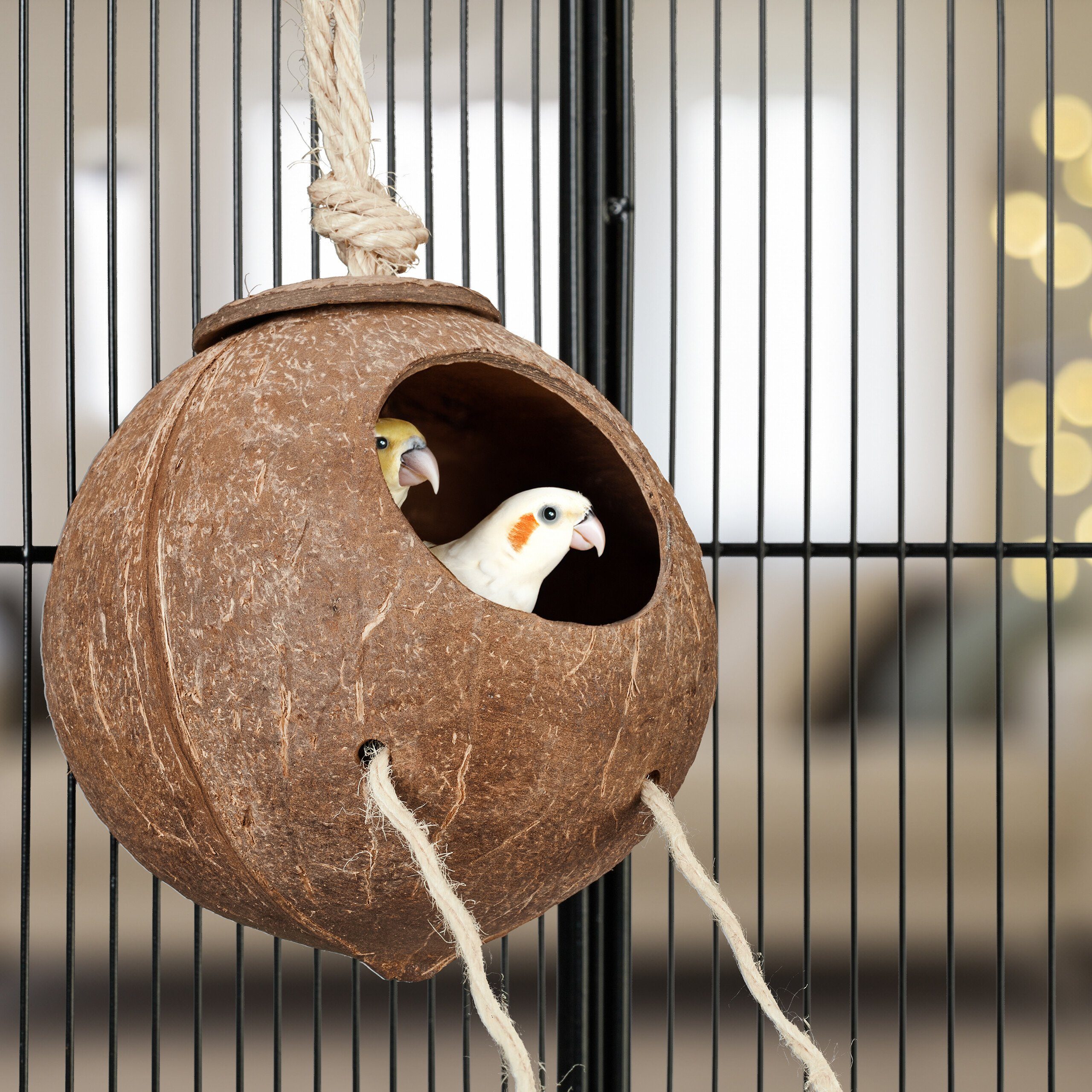 relaxdays Vogelspielplatz Vogelspielzeug Kokosnuss mit Holzleiter