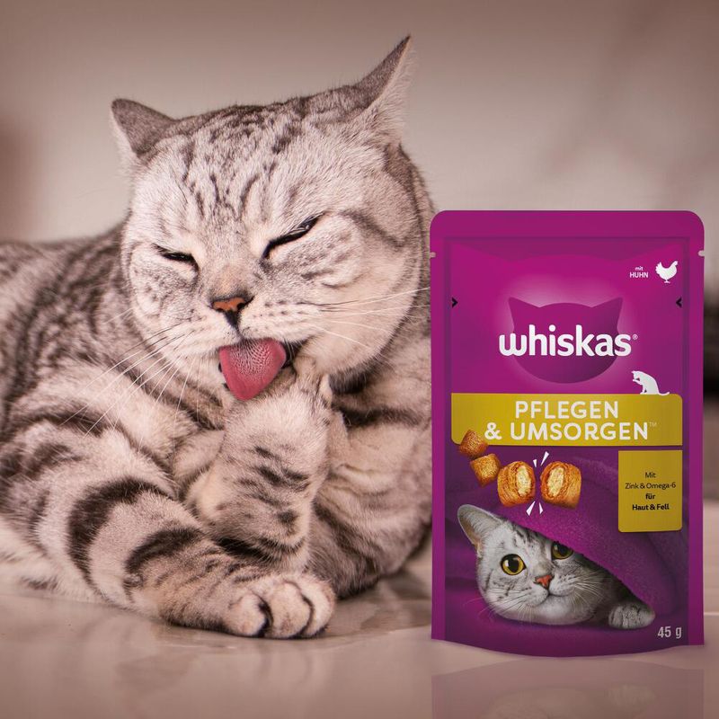 Whiskas Snacks Groom & Care zu TOP-Preisen