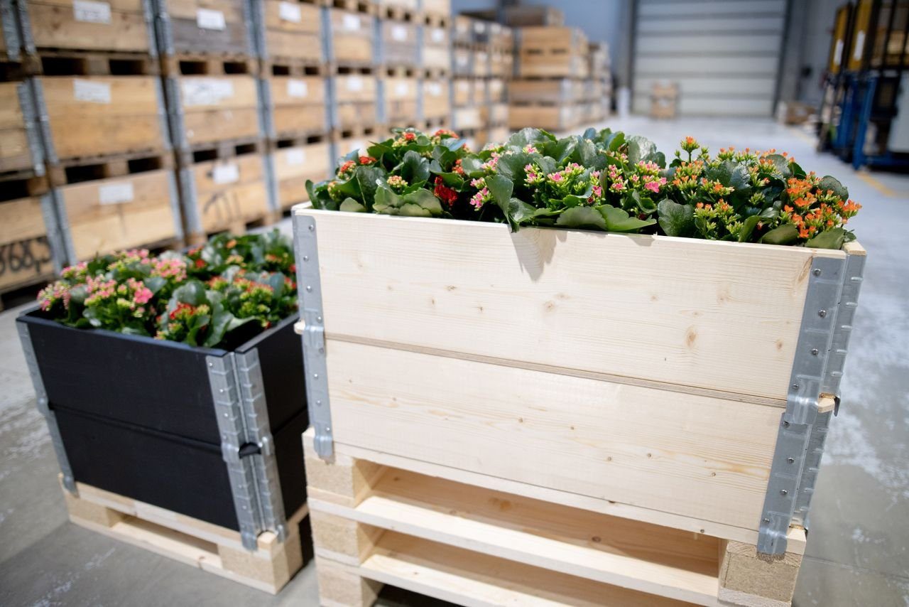 Upyard Hochbeet Upyard Palettenrahmen Hochbeet 120 x 80 cm