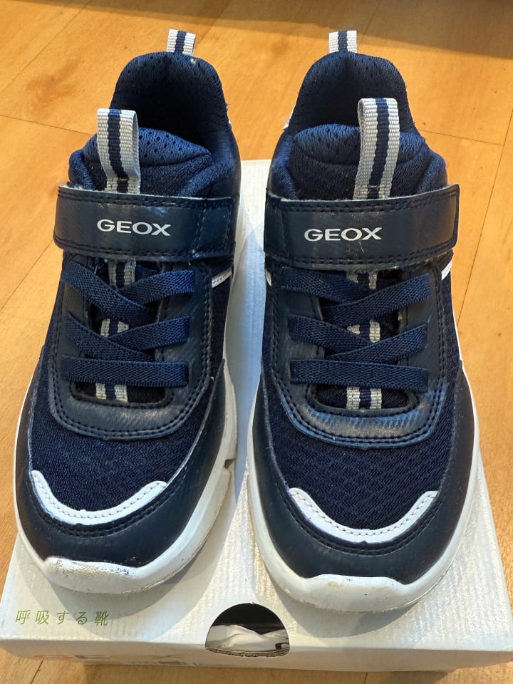Geox Sneakers 