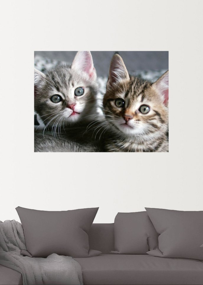 Wandsticker mit Katzen