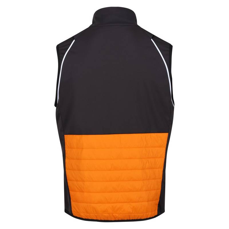 Regatta Steren Funktionsjacke Herren
